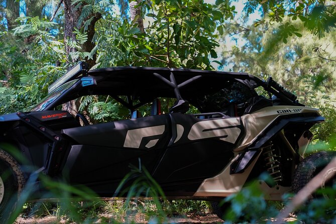 2 Hour Adventure UTV Can-Am in San Juan Puerto Rico - Exploring Hidden Roads and Beaches