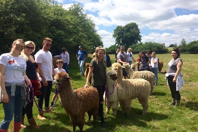 2-Hour Alpaca Farm Experience in Kenilworth - Directions