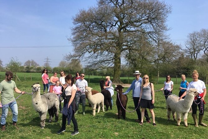 2-Hour Alpaca Farm Experience in Kenilworth - Common Questions