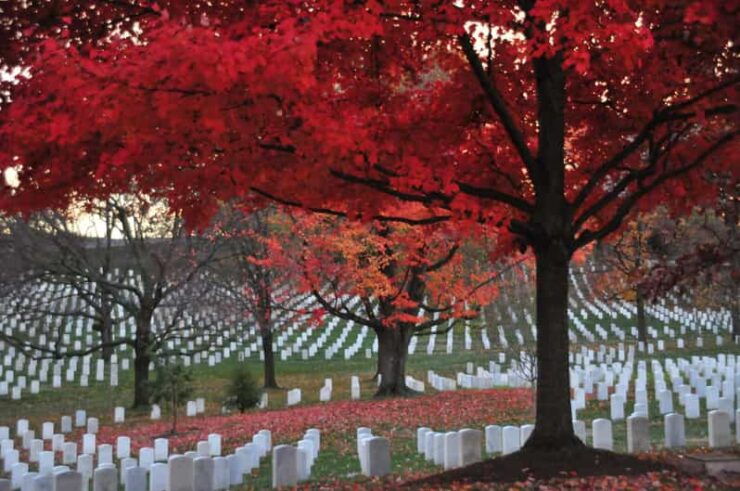 2-Hour Arlington Cemetery Morning Guided Walking Tour - Good To Know