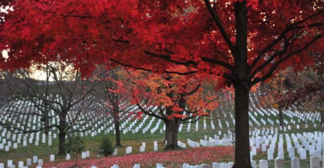 2-Hour Arlington Cemetery Morning Guided Walking Tour - Live Tour Guide