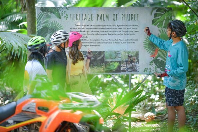2-Hour ATV Adventure in Phuket: Unleash Your Inner Explorer - The Sum Up