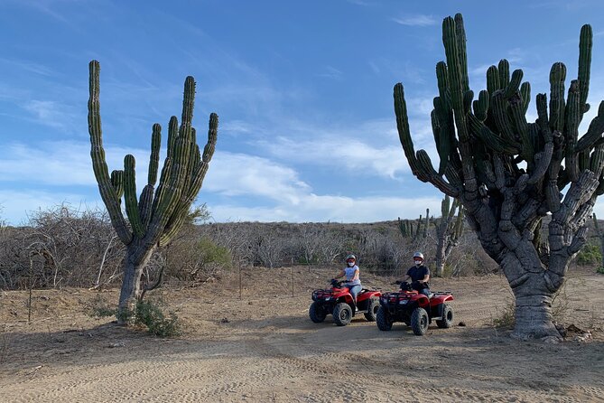 2-Hour ATV Riding Experience in San Jose Del Cabo - Common Questions
