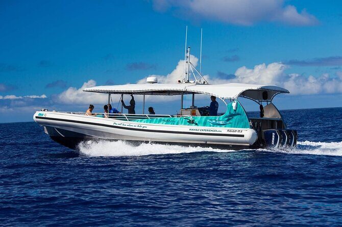 2 Hour Big Island Dolphin Watching and Sea Turtle Snorkel Tour - Good To Know