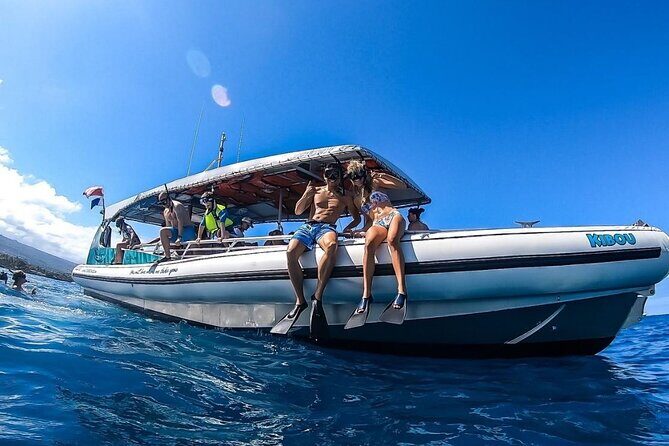 2 Hour Big Island Dolphin Watching and Sea Turtle Snorkel Tour - Frequently Asked Questions