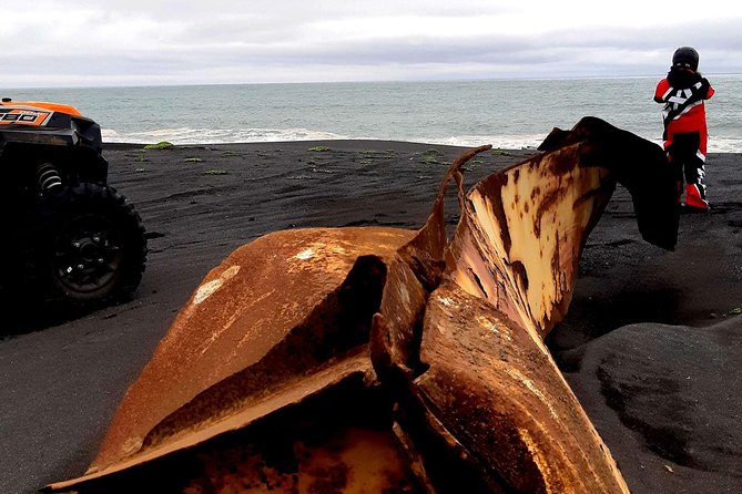 2-Hour Black Sand Beach Buggy Tour From Hella - Traveler Photos and Reviews