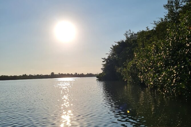 2-Hour Boat Tour in Quepos - Good To Know