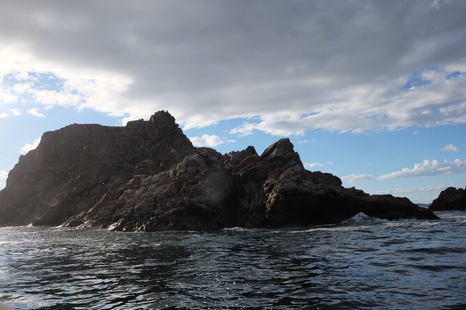 2 Hour Boat Tour in Twillingate - Pricing and Assistance
