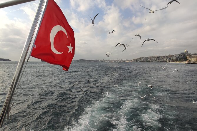 2-Hour Bosphorus Cruise in Istanbul With Guide - Traveler Photos and Reviews