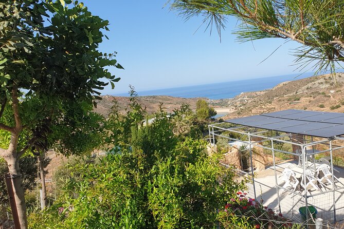 2-Hour Botanic Garden Tour in Akoursos - Water Features and Attractions