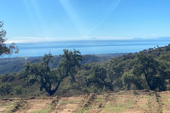 2 Hour Buggy Tour Off-Road Adventure in Mijas - Customer Reviews