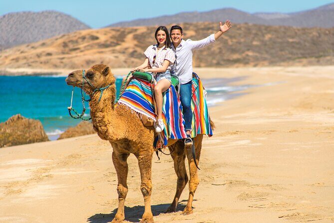 2-Hour Camel Ride Beach and Desert Adventure Experience - Introduction