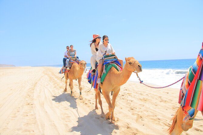 2-Hour Camel Ride Beach and Desert Adventure Experience - Authenticity and the Review Perspective