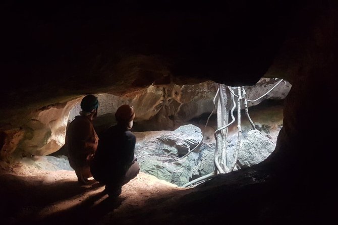 2-Hour Capricorn Caves Adventure Caving Excursion  - Queensland - Discovering Fossils in the Caves