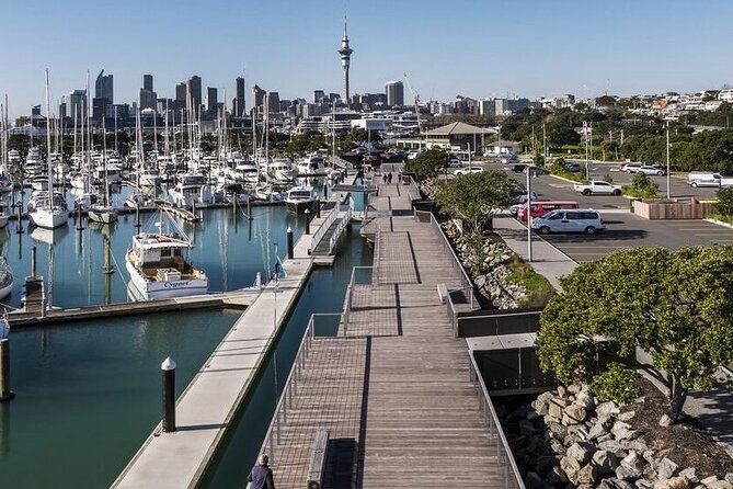 2-Hour City Tour in Auckland - Tour Recommendations