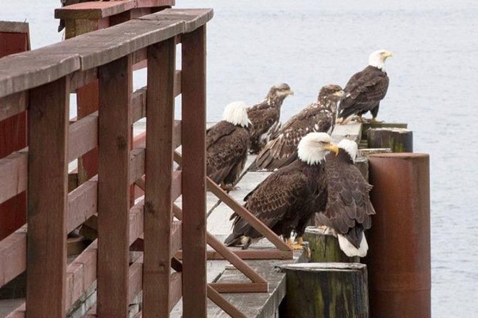 2 Hour Custom, Private, Group Charter - Tour Description and Highlights