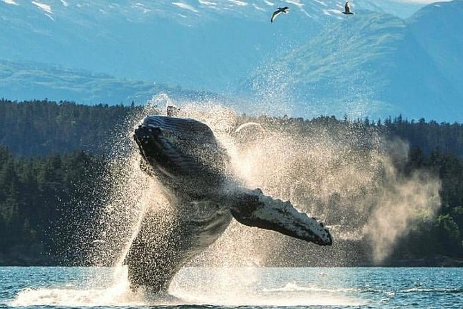 2 Hour Custom, Private, Group Charter - Pricing and Group Size