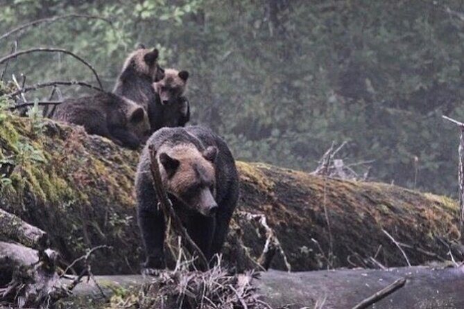 2 Hour Custom Wildlife and Historical Tour - FAQs