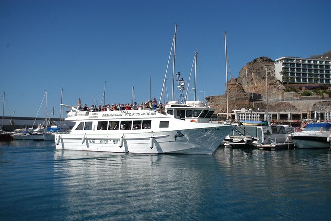 2-Hour Dolphin and Whale Watching in Gran Canaria - Directions