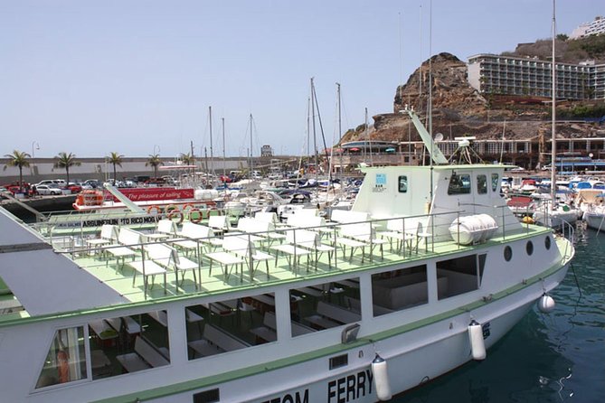 2-Hour Dolphin and Whale Watching in Gran Canaria - Common Questions
