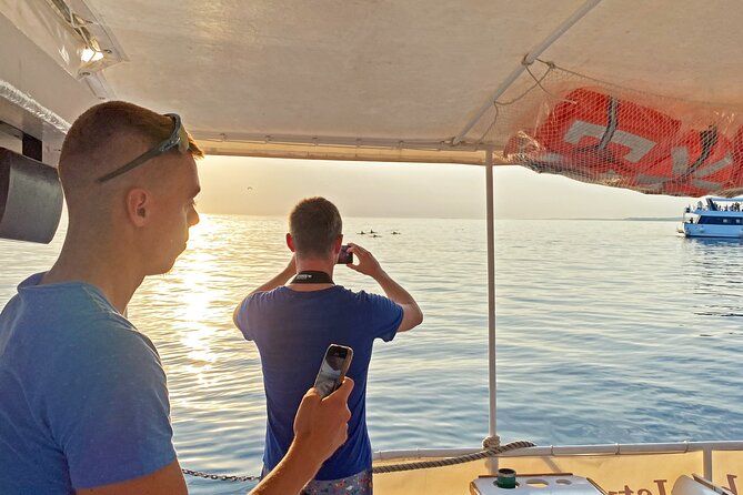 2-Hour Dolphin Guided Safari NP Brijuni From Fazana - Tour Highlights