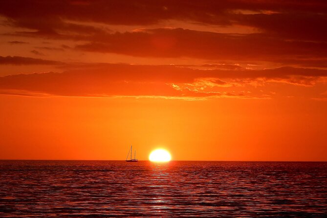 2-Hour Dolphin Guided Safari NP Brijuni From Fazana - Tour Details