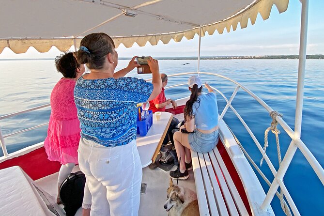 2-Hour Dolphin Guided Safari NP Brijuni From Fazana - Whats Included