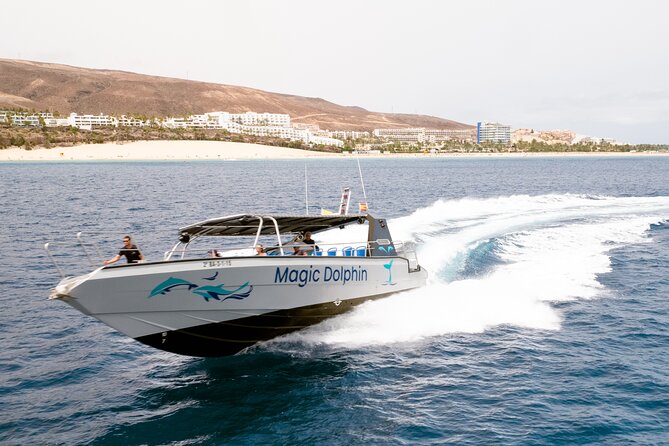 2-Hour Dolphin Watching Experience in Fuerteventura - Overview