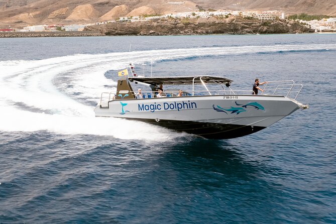 2-Hour Dolphin Watching Experience in Fuerteventura - Common Questions