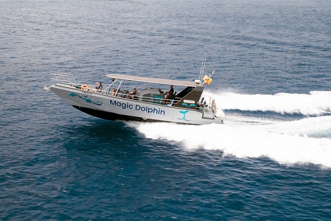 2-Hour Dolphin Watching Experience in Fuerteventura - The Sum Up