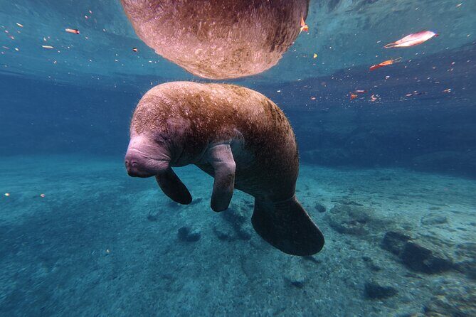 2 Hour Double Kayak Rental - Why Consider This Tour?