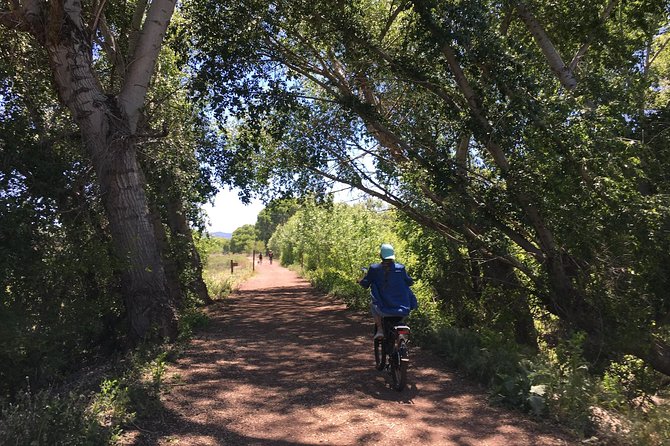 2 Hour E Bike Ride at the Peavine Trail (Popular) - Pricing and Booking Information