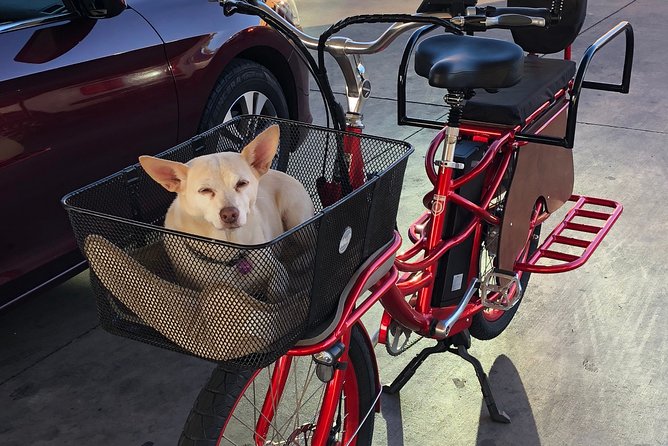 2-Hour Electric Bike Rental in Peoria and Glendale - Traveler Photos
