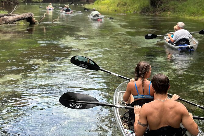 2 Hour Glass Bottom Guided Kayak Eco Tour in Gilchrist Blue - Kayak Equipment Provided