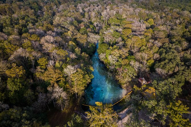 2 Hour Glass Bottom Guided Kayak Eco Tour in Gilchrist Blue - The Sum Up