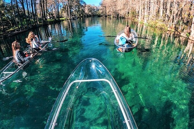 2-Hour Glass Bottom Guided Kayak Eco Tour in Rainbow Springs (Small-Group) - Common Questions