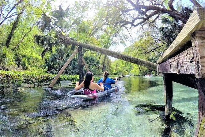 2-Hour Glass Bottom Guided Kayak Eco Tour in Rock Springs (Small-Group) - Tour Details and Inclusions