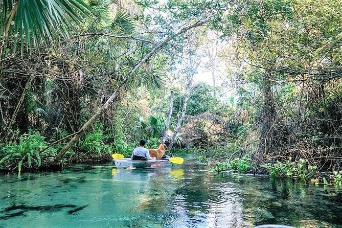 2-Hour Glass Bottom Guided Kayak Eco Tour in Rock Springs (Small-Group) - Meeting and Pickup Information