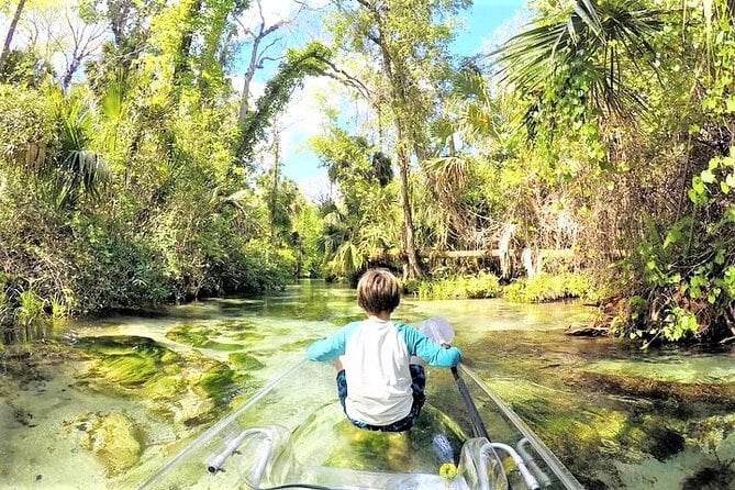 2-Hour Glass Bottom Guided Kayak Eco Tour in Rock Springs (Small-Group) - Positive Experiences and Recommendations