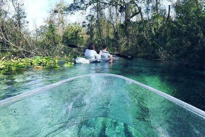2-Hour Glass Bottom Guided Kayak Eco Tour in Rock Springs (Small-Group) - Common Questions