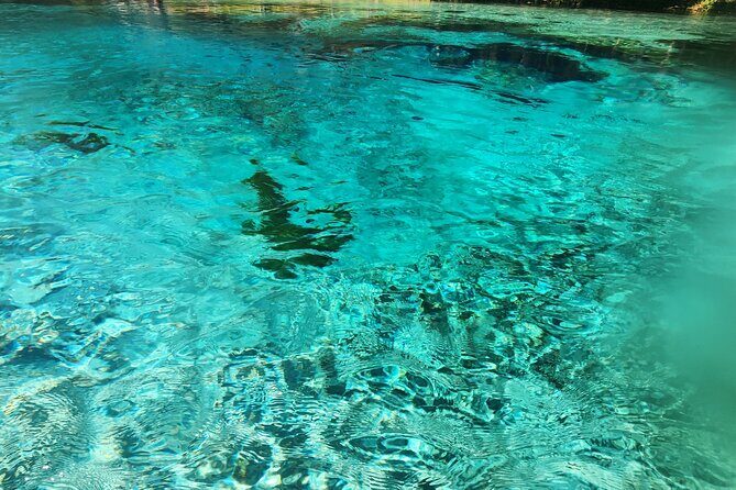 2 Hour Guided Clear Glass Bottom Kayak Tour Gilchrist Blue Spring - Discover the Serenity of Florida’s Blue Springs on a Guided Kayak Adventure
