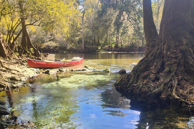 2 Hour Guided Clear Glass Bottom Kayak Tour Gilchrist Blue Spring - Good To Know