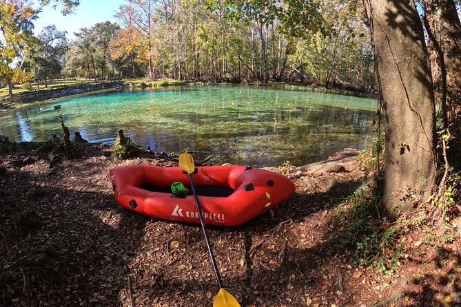 2 Hour Guided Clear Glass Bottom Kayak Tour Gilchrist Blue Spring - The Value of This Tour