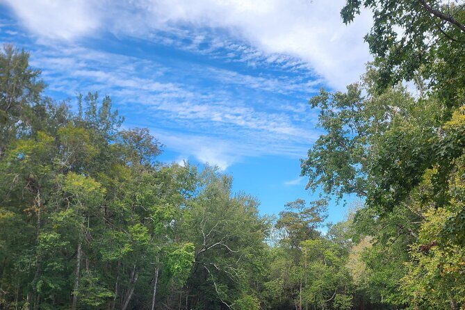 2 Hour Guided Clear Glass Bottom Kayak Tour Gilchrist Blue Spring - FAQ