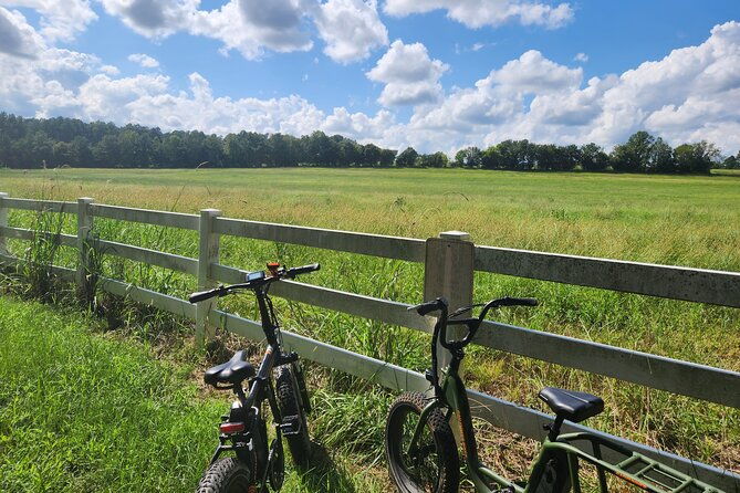 2 hour Guided E-Bike Tour: Greenery, Scenery and Mindfulness - Good To Know