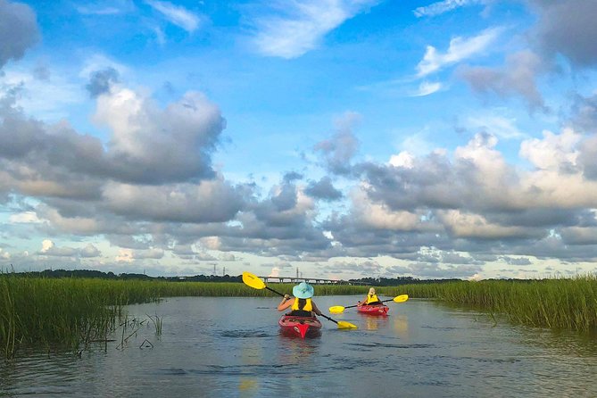 2-Hour Guided Kayak Nature Tour of Hilton Head - Whats Included