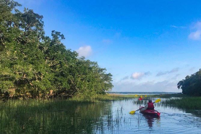 2-Hour Guided Kayak Nature Tour of Hilton Head - Safety Guidelines