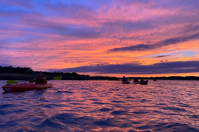 2-Hour Guided Kayak Nature Tour of Hilton Head - Tips for a Memorable Experience
