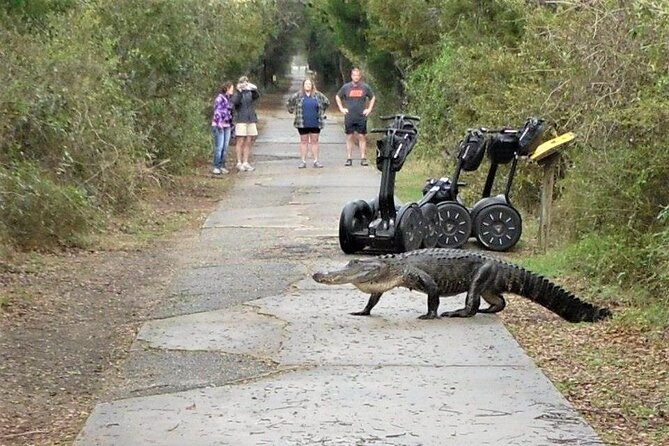 2-Hour Guided Segway Tour of Huntington Beach State Park in Myrtle Beach - Positive Reviews and Testimonials
