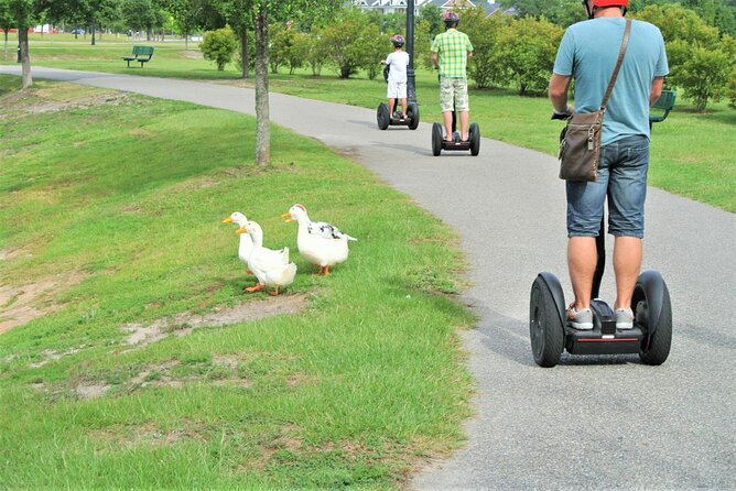 2-Hour Guided Segway Tour of Huntington Beach State Park in Myrtle Beach - Fun and Exciting Moments on the Tour